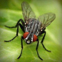 /album/descontrol-/photolia-a01-jpg/