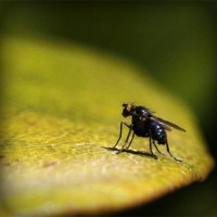 /album/descontrol-/photolia-a07-jpg/