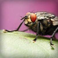 /album/descontrol-/photolia-a08-jpg/